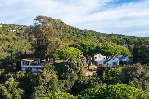 Imagen 1 de Las tres casas de la semana: masía histórica entre pinos por 10 millones (y 2 más por la casa de invitados)