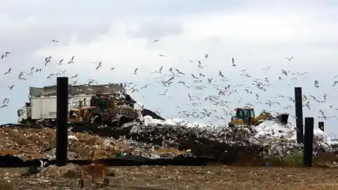 Imagen 1 de El gas metano no tiene quien lo reduzca