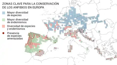 Imagen 1 de Un estudio identifica 525 zonas clave para conservar a los anfibios en Europa