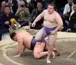 Imagen 1 de La sorpresa de Aonishiki, el primer ucraniano en ganar un título de sumo