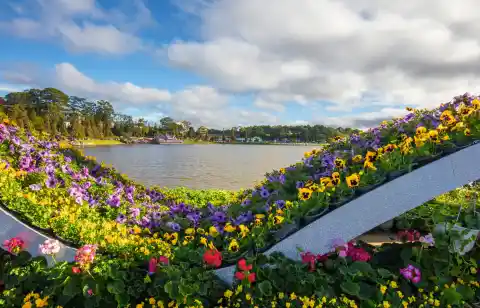 Imagen 1 de El milagroso “abono de murciélago” que revive plantas enfermas: “No podía creer lo que veía”