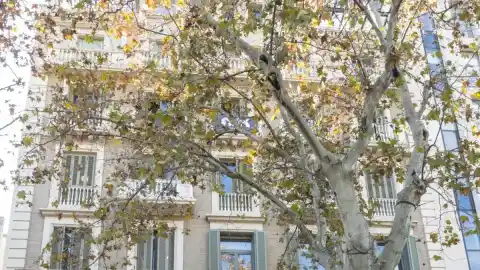 Imagen 1 de Una trama de apartamentos turísticos ilegales de lujo del paseo de Gràcia trabaja con IA