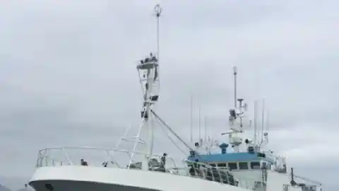 Imagen 1 de Buscan en Nueva Zelanda a un marinero gallego que viajaba en un palangrero con base en Vigo