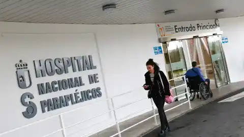 Imagen 1 de Científicos del Hospital de Parapléjicos presentan un 'atlas celular' de la médula espinal del ratón: "Es de gran valor"