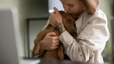 Imagen 1 de Un apego excesivo a los animales podría perjudicar la salud mental en la vejez, según un estudio