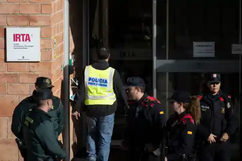Imagen 1 de Los análisis genéticos sugieren que el virus de la peste porcina no salió del laboratorio de la Generalitat que estaba a cientos de metros