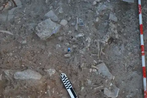 Imagen 1 de Los pudientes comían bueyes y los esclavos, burros: Noheda descifra la dieta de la Hispania romana