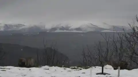 Imagen 1 de La borrasca 'Francis' dejará lluvias y nevadas el fin de semana; los Reyes llegarán con más frío y nieve