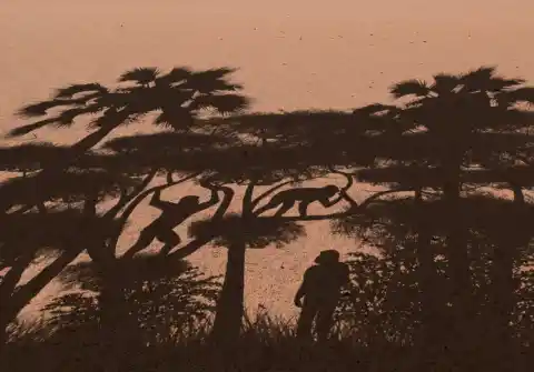 Imagen 1 de Un fémur de siete millones de años reaviva una larga y feroz guerra científica sobre el origen del bipedalismo