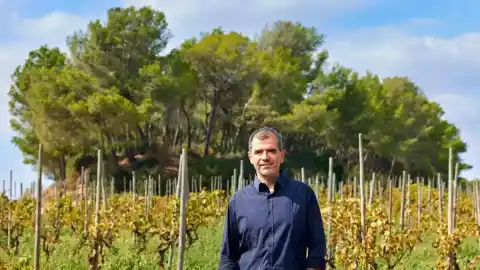 Imagen 1 de Nuevo reconocimiento para el espumoso Turó d’en Mota de Recaredo