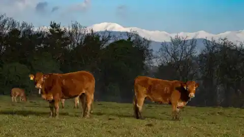 Imagen 1 de Hora de comer con vistas privilegiadas