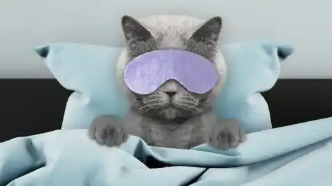 Imagen 1 de Mitos y consejos para combatir la resaca