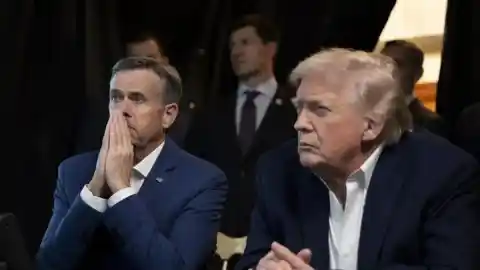 Imagen 1 de La ley del más fuerte