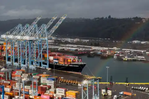 Imagen 1 de El fin de la resiliencia global