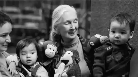 Imagen 1 de Bruce Weber dispara en homenaje a su amiga Jane Goodall y a los amantes de los animales