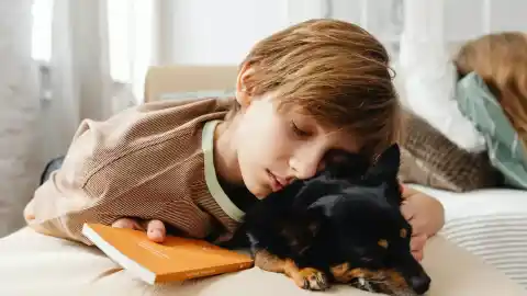 Imagen 1 de La convivencia diaria con un perro puede llegar a alterar el microbioma de los adolescentes