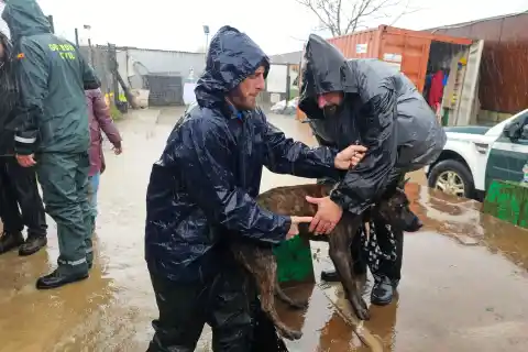 Imagen 1 de Todas las comunidades excepto Extremadura están en alerta por la borrasca ‘Francis’, que dejará lluvias, nieve, frío y oleaje
