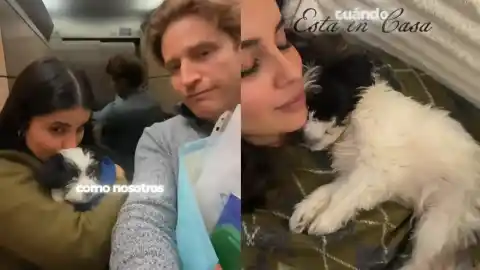 Imagen 1 de Natalia Osona amplía la familia con la adopción de un perro ciego: "Es bonito"