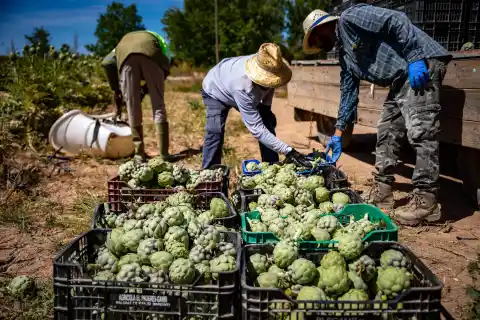 Imagen 1 de El Gobierno propone subir el salario mínimo un 3,1%, hasta los 1.221 euros mensuales en 2026