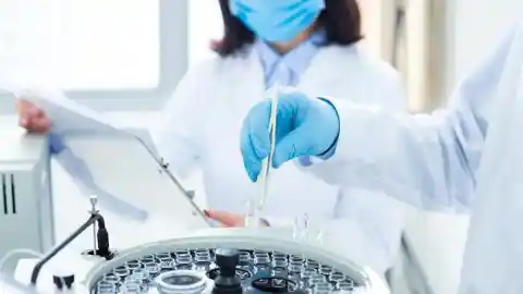 Imagen 1 de El programa Academia de Excelencia 2025 consolida a la UPC como referente en la investigación