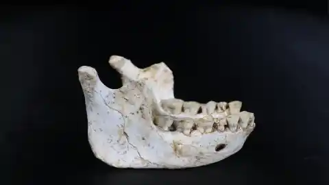 Imagen 1 de Fósiles de hace 770.000 años hallados en Marruecos aclaran el origen de los 'Homo sapiens'