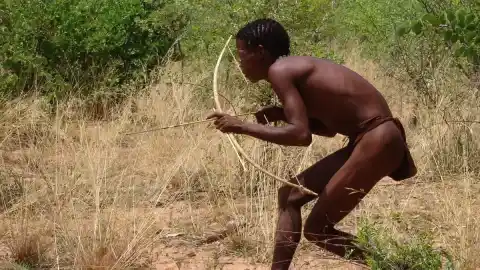 Imagen 1 de Los cazadores-recolectores del sur de África ya mojaban las puntas de sus flechas de piedra con veneno hace 60.000 años