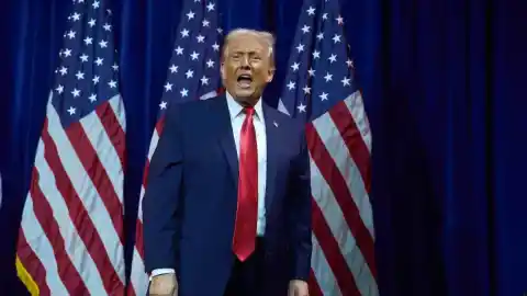 Imagen 1 de La mano que mece nuestra cuna