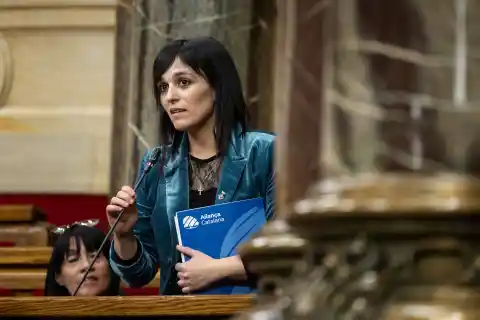 Imagen 1 de Auge súbito de Sílvia Orriols