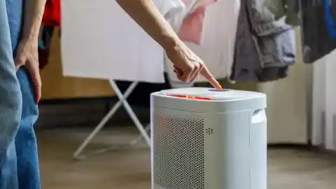 Imagen 1 de Estos son los beneficios de utilizar deshumidificadores en casa en invierno