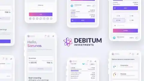 Imagen 1 de Debitum: qué es, cómo funciona y qué debes saber antes de invertir en préstamos a pymes