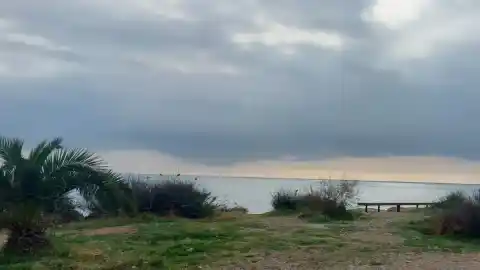 Imagen 1 de ¿Cuántos gorriones eres capaz de ver en menos de 30 segundos?