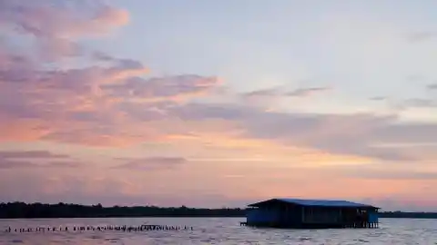 Imagen 1 de Las andanzas de Lino Aguirre