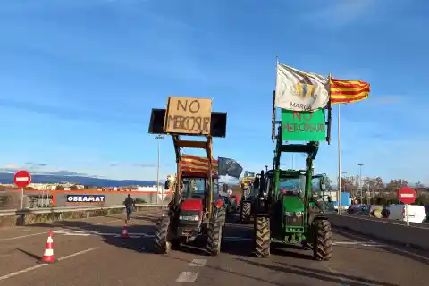 Imagen 1 de Ganadores y perdedores del acuerdo de libre comercio entre la UE y Mercosur