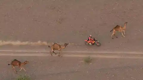 Imagen 1 de Una sanción a Sanders da vida a Schareina; Canet vuelve a sufrir