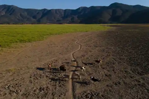 Imagen 1 de Chile no puede permitirse perder su consenso climático