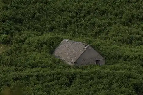 Imagen 1 de Un assaig més acadèmic que literari de ‘Solitud’