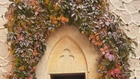 Imagen 1 de La emotiva despedida de Isabelle Junot a su padre, Philippe Junot: “No hay palabras para describir el hueco que nos dejas”