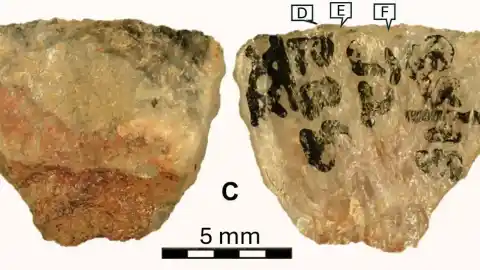 Imagen 1 de Encuentran la flecha envenenada más antigua: tiene 60.000 años y aún conserva restos de la sustancia tóxica empleada