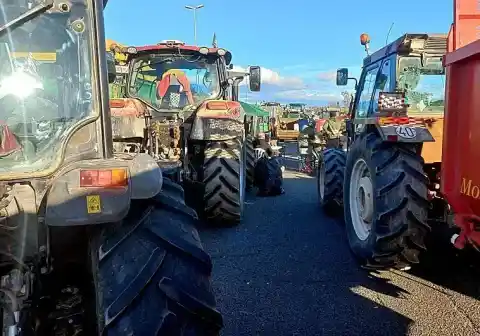 Imagen 1 de Cataluña anuncia una próxima reunión para un «frente común» ante el pacto UE-Mercosur