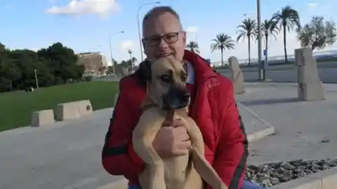 Imagen 1 de Ronald, el alemán muerto en Mallorca tras un año en coma por la paliza de dos menores para "impresionar" a dos chicas