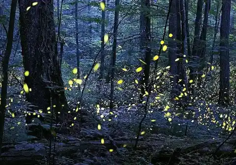 Imagen 1 de El gran error de nuestra búsqueda: por qué estamos 'ciegos' a las señales alienígenas