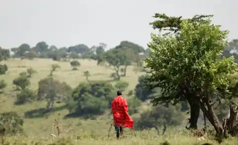 Imagen 1 de Reserva nacional Masái Mara, ¿por qué es un destino imprescindible en Kenia?