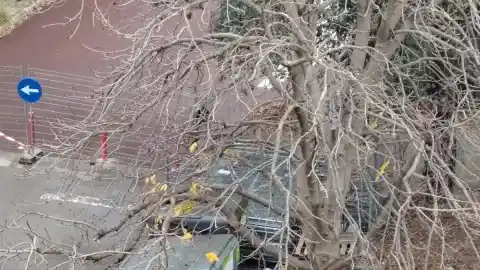 Imagen 1 de Girona implanta un nuevo modelo de contenedores con el deseo de acabar con la suciedad en las calles