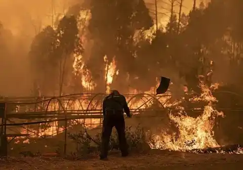 Imagen 1 de ¿Por qué 2025 fue tan malo en incendios? El matorral fue clave y la ola de calor, también