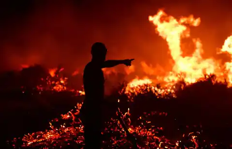 Imagen 1 de Los incendios en la Patagonia argentina exponen la desidia oficial