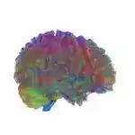 Imagen 1 de Las cinco "épocas importantes" en la estructura del cerebro a lo largo de la vida humana