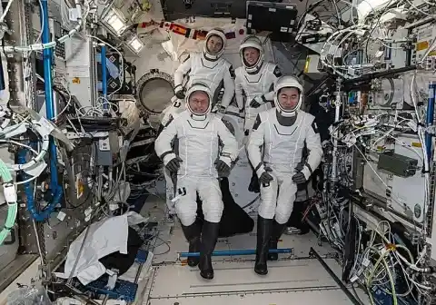 Imagen 1 de Por qué los virus se vuelven más peligrosos a bordo de la estación espacial internacional