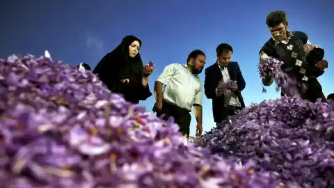 Imagen 1 de La compra masiva de azafrán iraní y la venta de maquinaria y medicinas exponen a España al nuevo 'arancel' del 25% de Trump