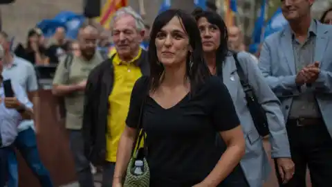 Imagen 1 de Las orejas del lobo