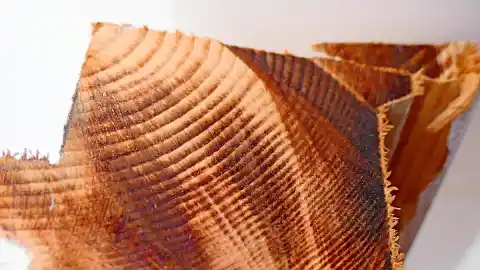 Imagen 1 de ¿Por qué la madera nos hace sentir bien?